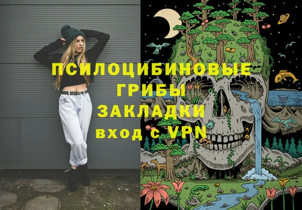 ГАЛЛЮЦИНОГЕННЫЕ ГРИБЫ Нязепетровск
