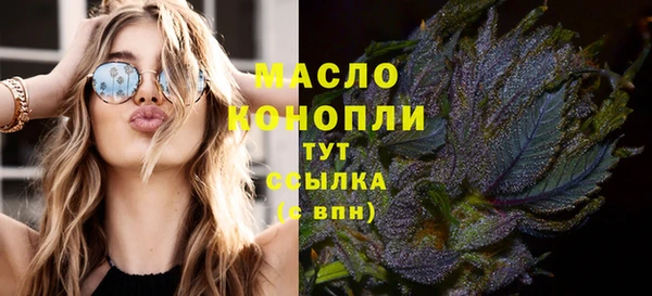 PSILOCYBIN Няндома