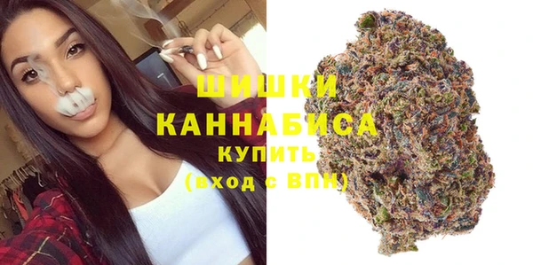 амф Осташков