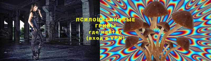 Псилоцибиновые грибы Magic Shrooms  Лянтор 