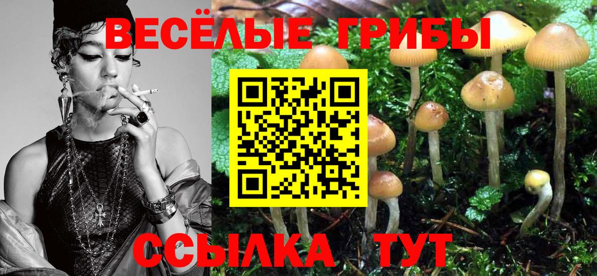 Галлюциногенные грибы GOLDEN TEACHER Лянтор