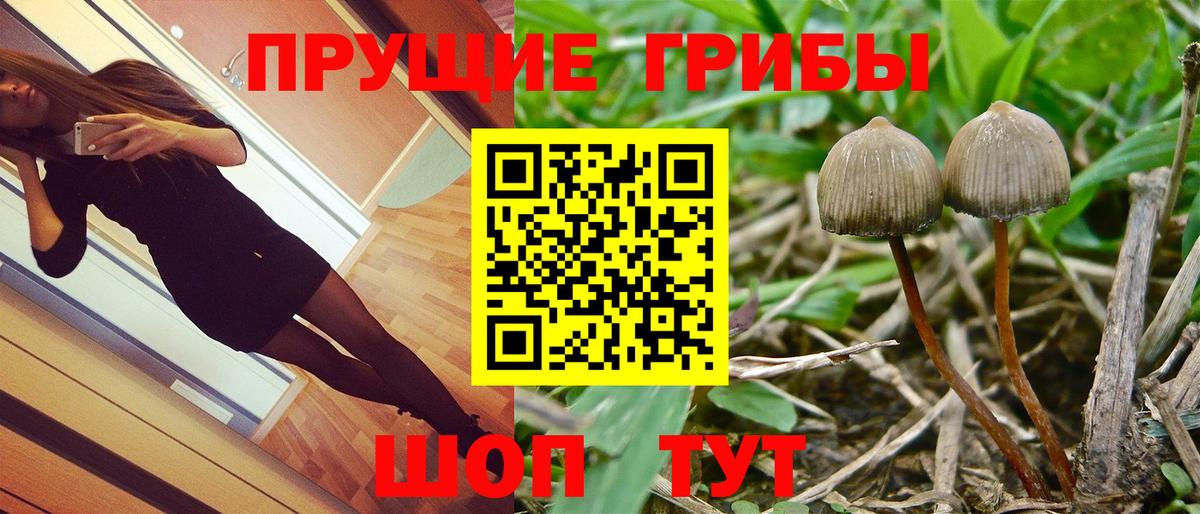 Псилоцибиновые грибы мухоморы Лянтор