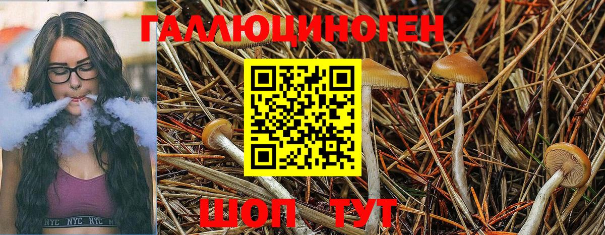 Галлюциногенные грибы GOLDEN TEACHER  как найти   Галлюциногенные грибы GOLDEN TEACHER  Лянтор 